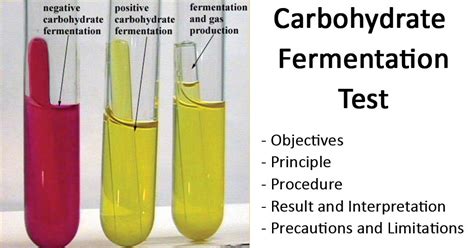 carbohydrate fermentation test e coli.